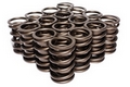 Valve, Springs & Components